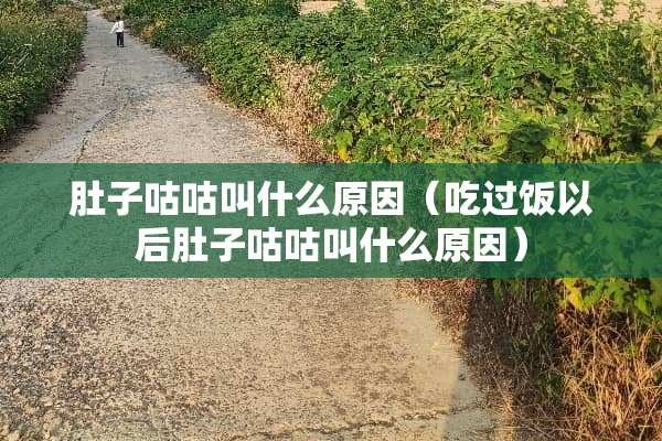 肚子咕咕叫什么原因（吃过饭以后肚子咕咕叫什么原因）