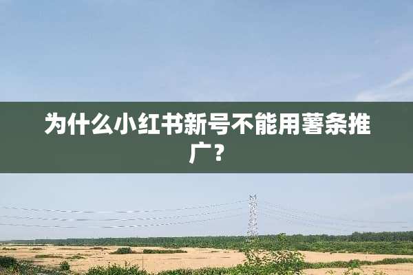 为什么小红书新号不能用薯条推广？