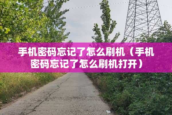 手机密码忘记了怎么刷机（手机密码忘记了怎么刷机打开）