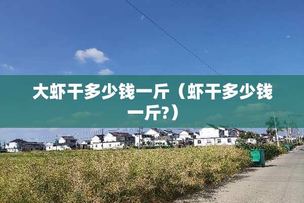 大虾干多少钱一斤（虾干多少钱一斤?）
