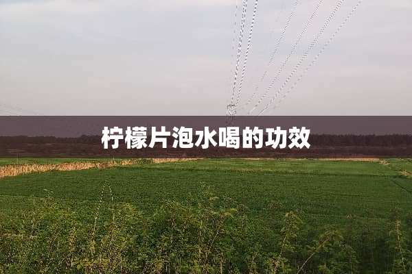 柠檬片泡水喝的功效