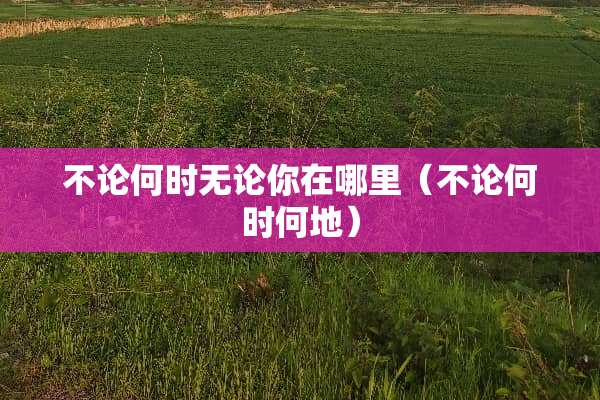 不论何时无论你在哪里（不论何时何地）