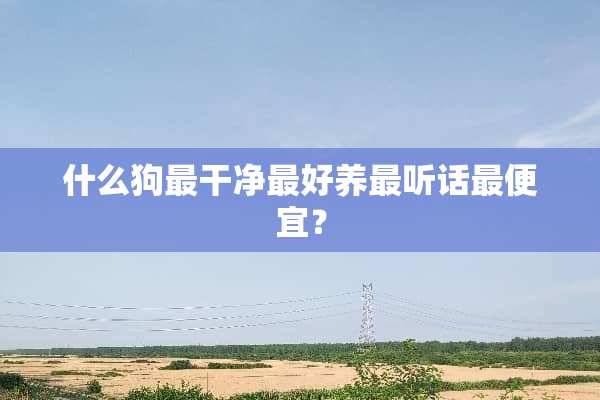 什么狗最干净最好养最听话最便宜？