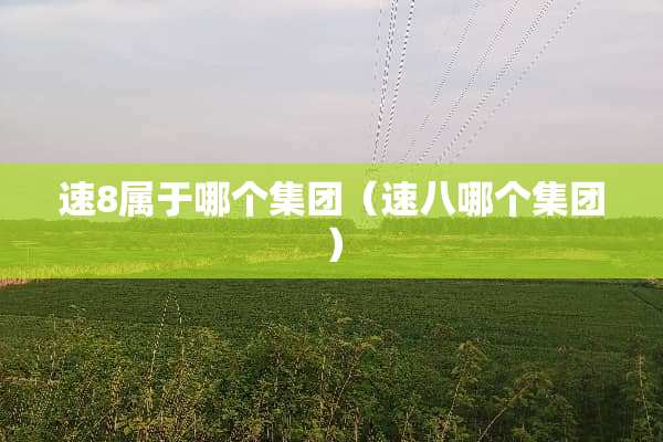 速8属于哪个集团（速八哪个集团）