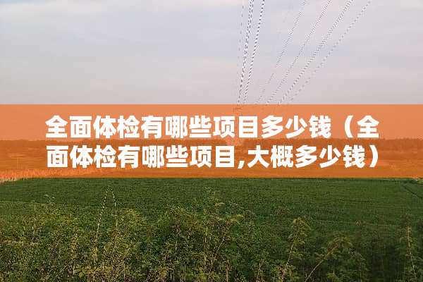 全面体检有哪些项目多少钱（全面体检有哪些项目,大概多少钱）