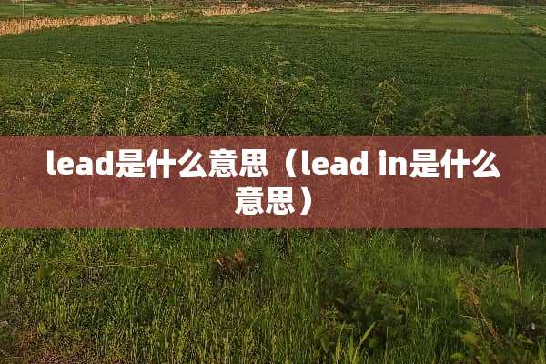 lead是什么意思（lead in是什么意思）