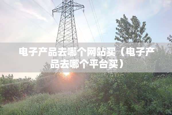 电子产品去哪个网站买（电子产品去哪个平台买）