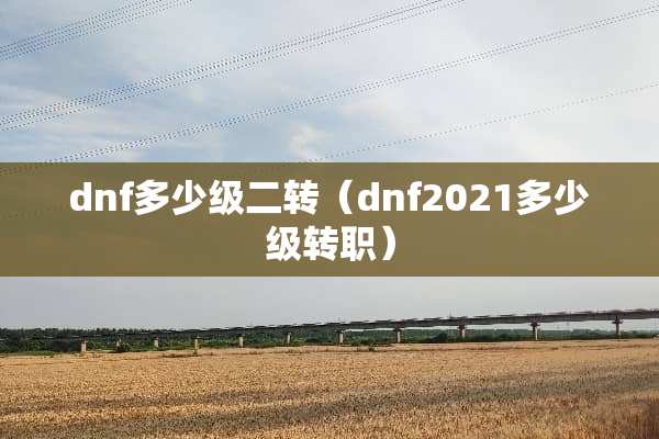 dnf多少级二转（dnf2021多少级转职）