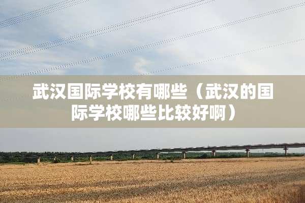 武汉国际学校有哪些（武汉的国际学校哪些比较好啊）