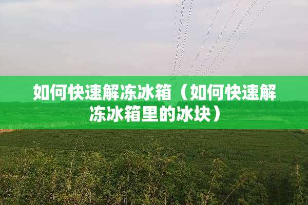 如何快速解冻冰箱（如何快速解冻冰箱里的冰块）