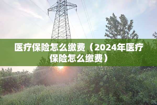 医疗保险怎么缴费（2024年医疗保险怎么缴费）