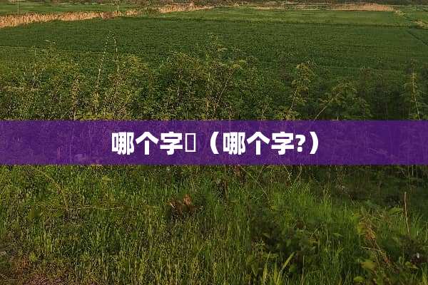 哪个字籺（哪个字?）