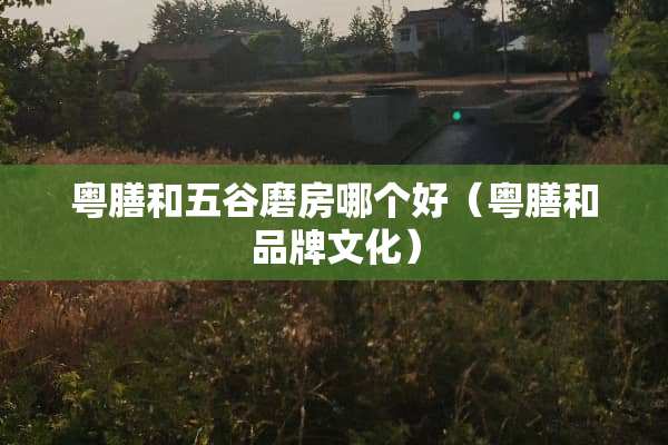 粤膳和五谷磨房哪个好（粤膳和品牌文化）