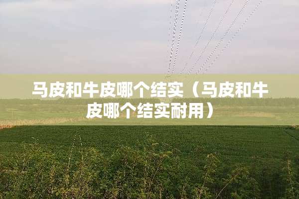 马皮和牛皮哪个结实（马皮和牛皮哪个结实耐用）