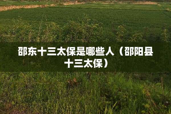 邵东十三太保是哪些人（邵阳县十三太保）