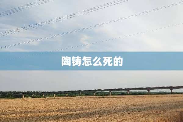 陶铸怎么死的