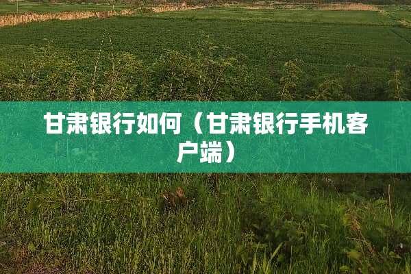 甘肃银行如何（甘肃银行手机客户端）