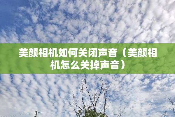 美颜相机如何关闭声音（美颜相机怎么关掉声音）
