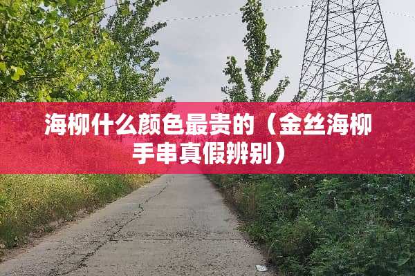 海柳什么颜色最贵的（金丝海柳手串真假辨别）