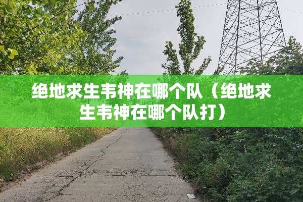 绝地求生韦神在哪个队（绝地求生韦神在哪个队打）
