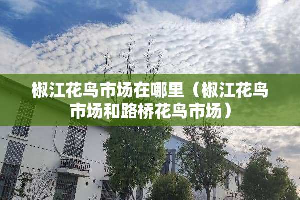 椒江花鸟市场在哪里（椒江花鸟市场和路桥花鸟市场）