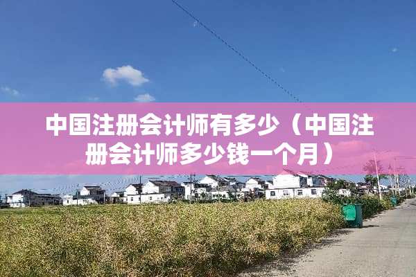 中国注册会计师有多少（中国注册会计师多少钱一个月）