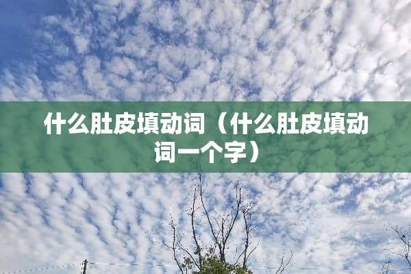 什么肚皮填动词（什么肚皮填动词一个字）