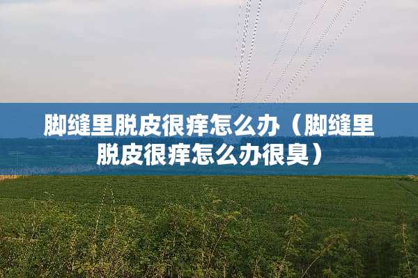 脚缝里脱皮很痒怎么办（脚缝里脱皮很痒怎么办很臭）
