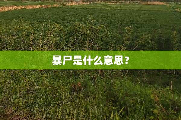 暴尸是什么意思？