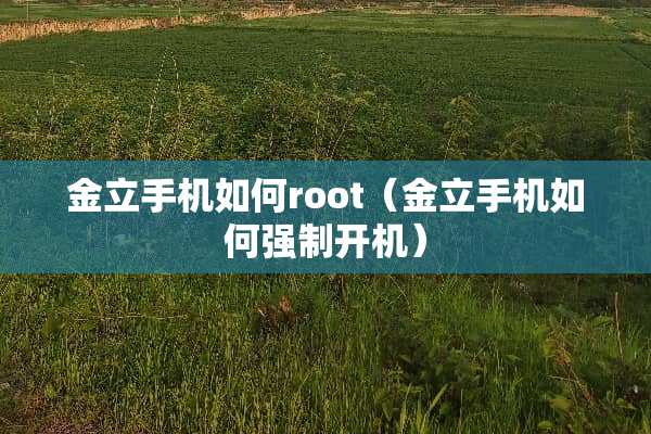 金立手机如何root（金立手机如何强制开机）