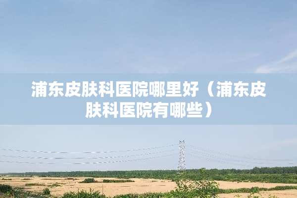 浦东皮肤科医院哪里好（浦东皮肤科医院有哪些）