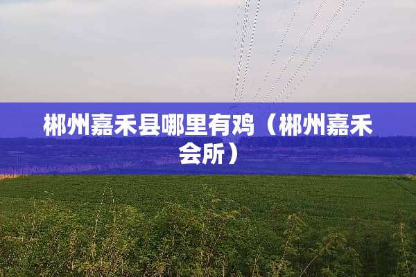 郴州嘉禾县哪里有鸡（郴州嘉禾会所）