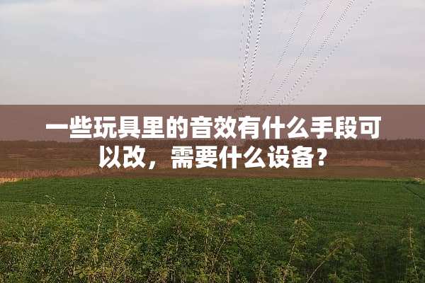 一些玩具里的音效有什么手段可以改，需要什么设备？