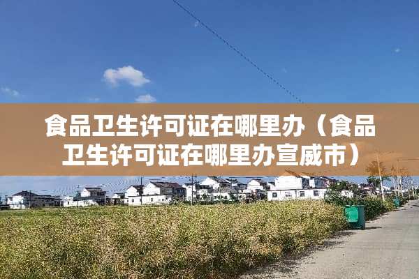 食品卫生许可证在哪里办（食品卫生许可证在哪里办宣威市）