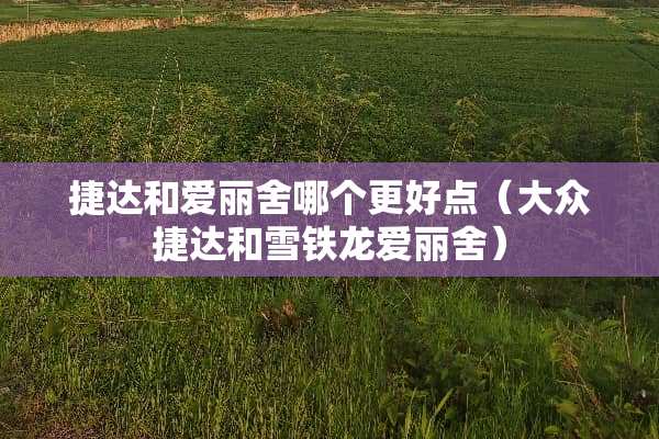 捷达和爱丽舍哪个更好点（大众捷达和雪铁龙爱丽舍）