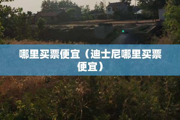 哪里买票便宜（迪士尼哪里买票便宜）