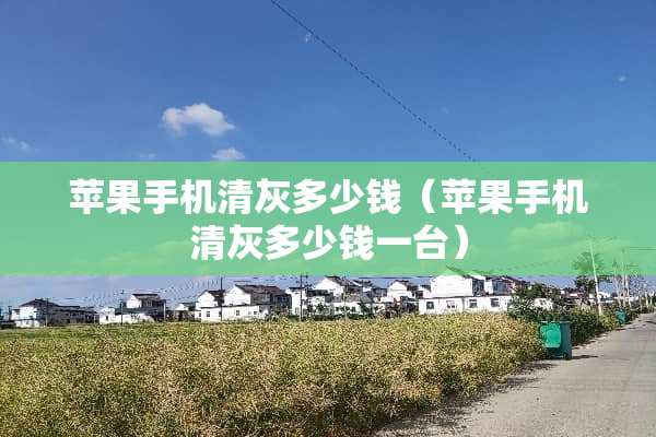 苹果手机清灰多少钱（苹果手机清灰多少钱一台）