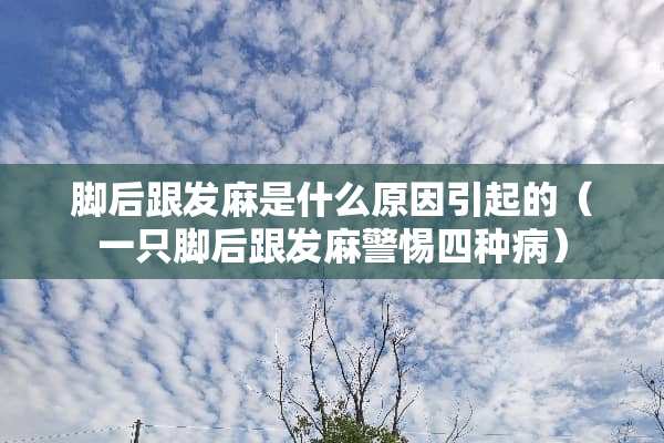 脚后跟发麻是什么原因引起的（一只脚后跟发麻警惕四种病）