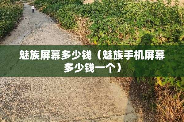 魅族屏幕多少钱（魅族手机屏幕多少钱一个）