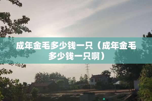 成年金毛多少钱一只（成年金毛多少钱一只啊）