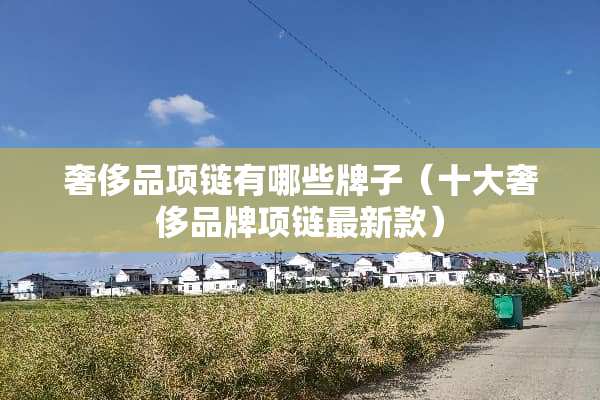 奢侈品项链有哪些牌子（十大奢侈品牌项链最新款）