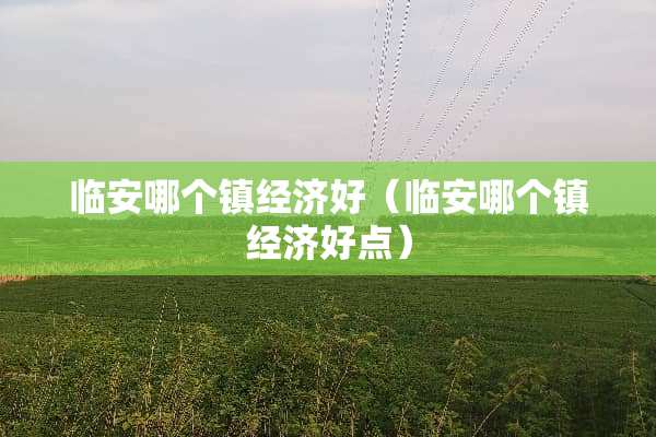 临安哪个镇经济好（临安哪个镇经济好点）
