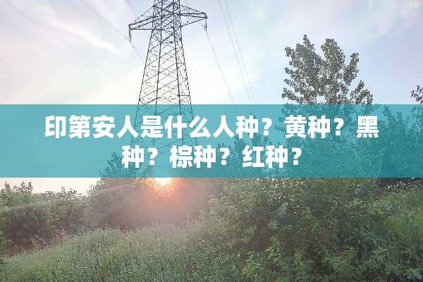 印第安人是什么人种？黄种？黑种？棕种？红种？