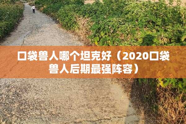 口袋兽人哪个坦克好（2020口袋兽人后期最强阵容）