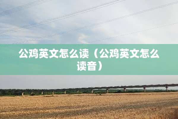 公鸡英文怎么读（公鸡英文怎么读音）