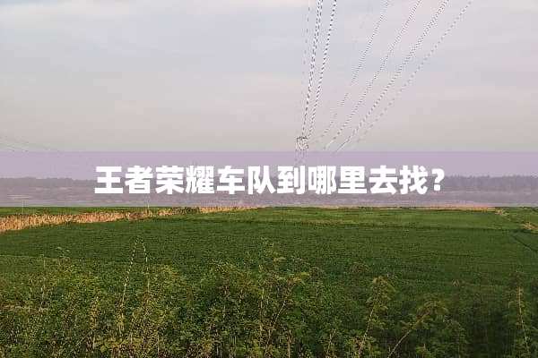 王者荣耀车队到哪里去找？