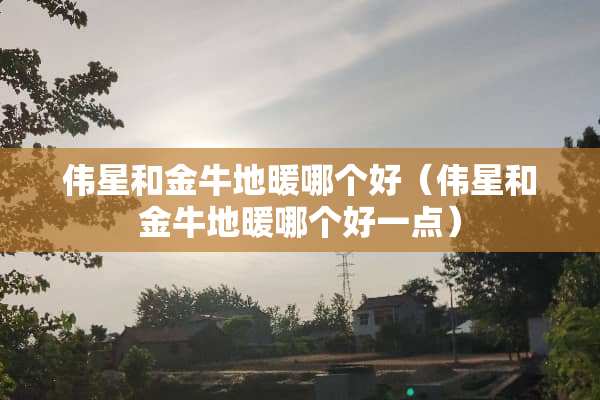伟星和金牛地暖哪个好（伟星和金牛地暖哪个好一点）
