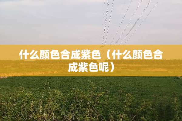 什么颜色合成紫色（什么颜色合成紫色呢）