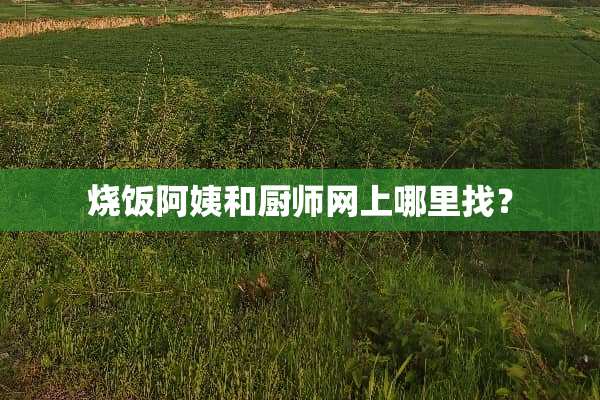 烧饭阿姨和厨师网上***？