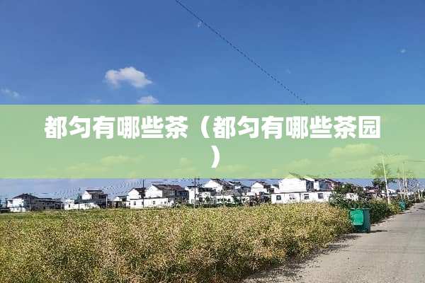 都匀有哪些茶（都匀有哪些茶园）